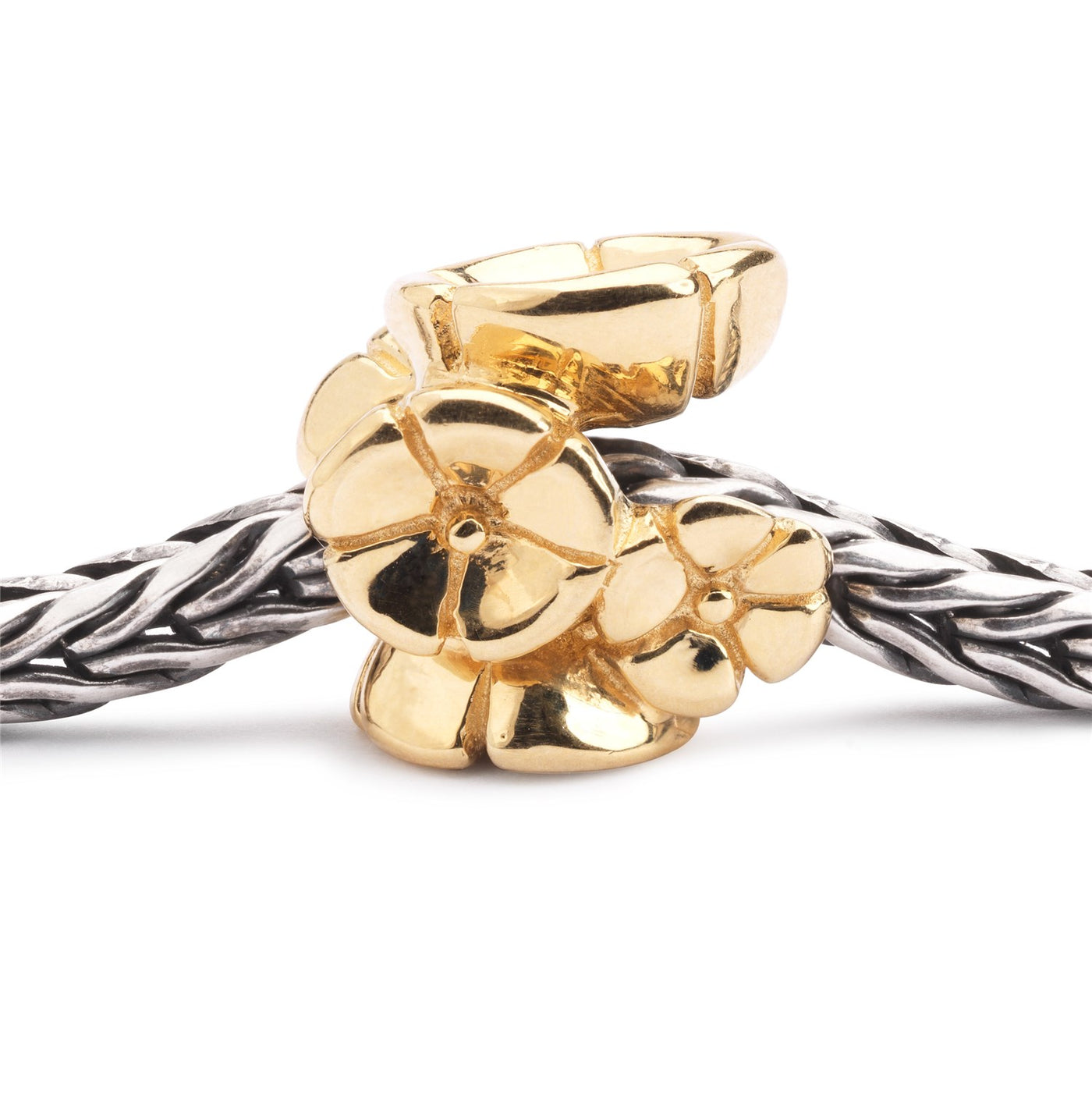 Non Ti Scordar di Me