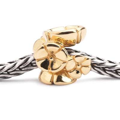 Non Ti Scordar di Me